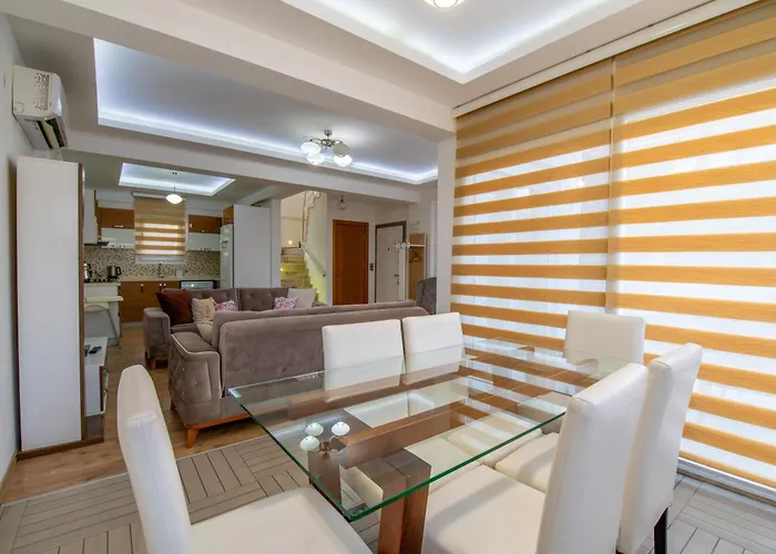 别墅 Bagceciler 1 *